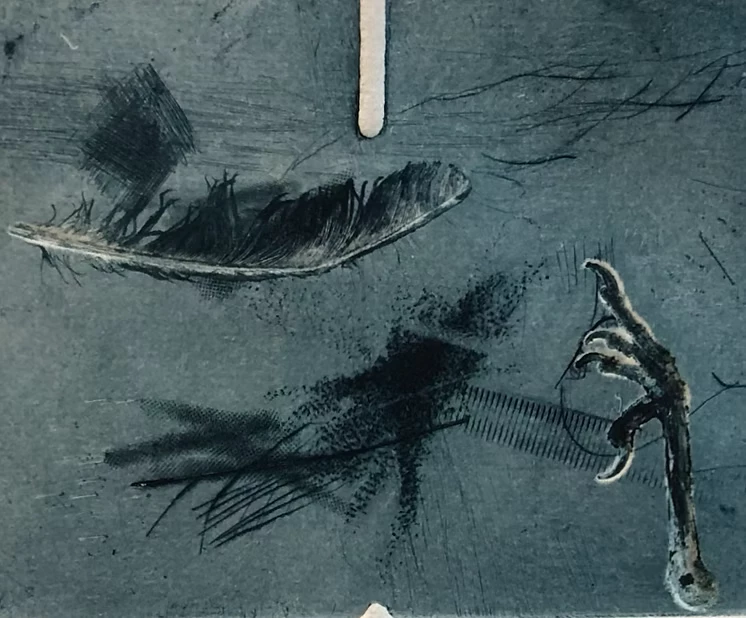 Illustration en tons gris d’une plume noire et d’une patte d’oiseau griffue sur fond texturé.
